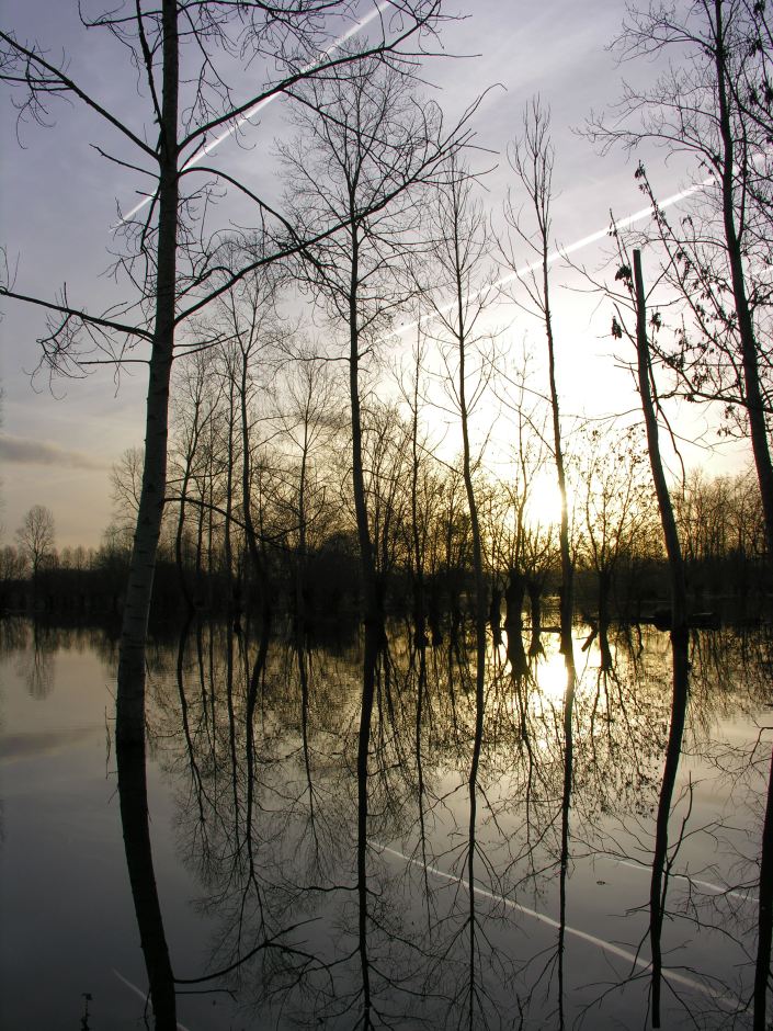 Photo Gilles PETIT 3489