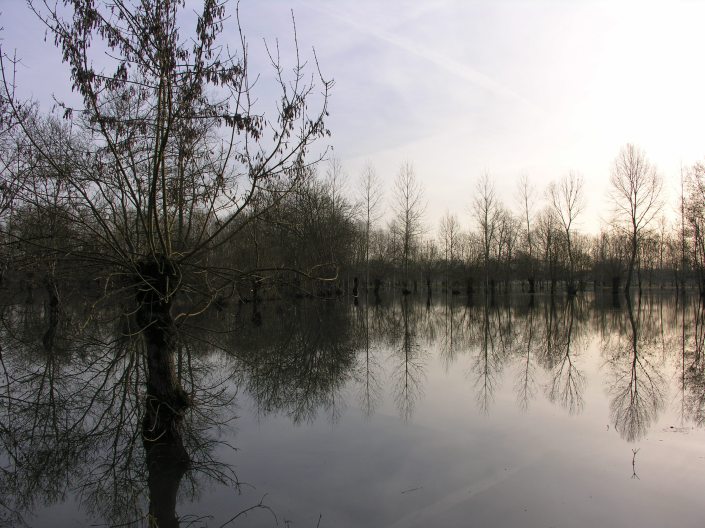 Photo Gilles PETIT 3504