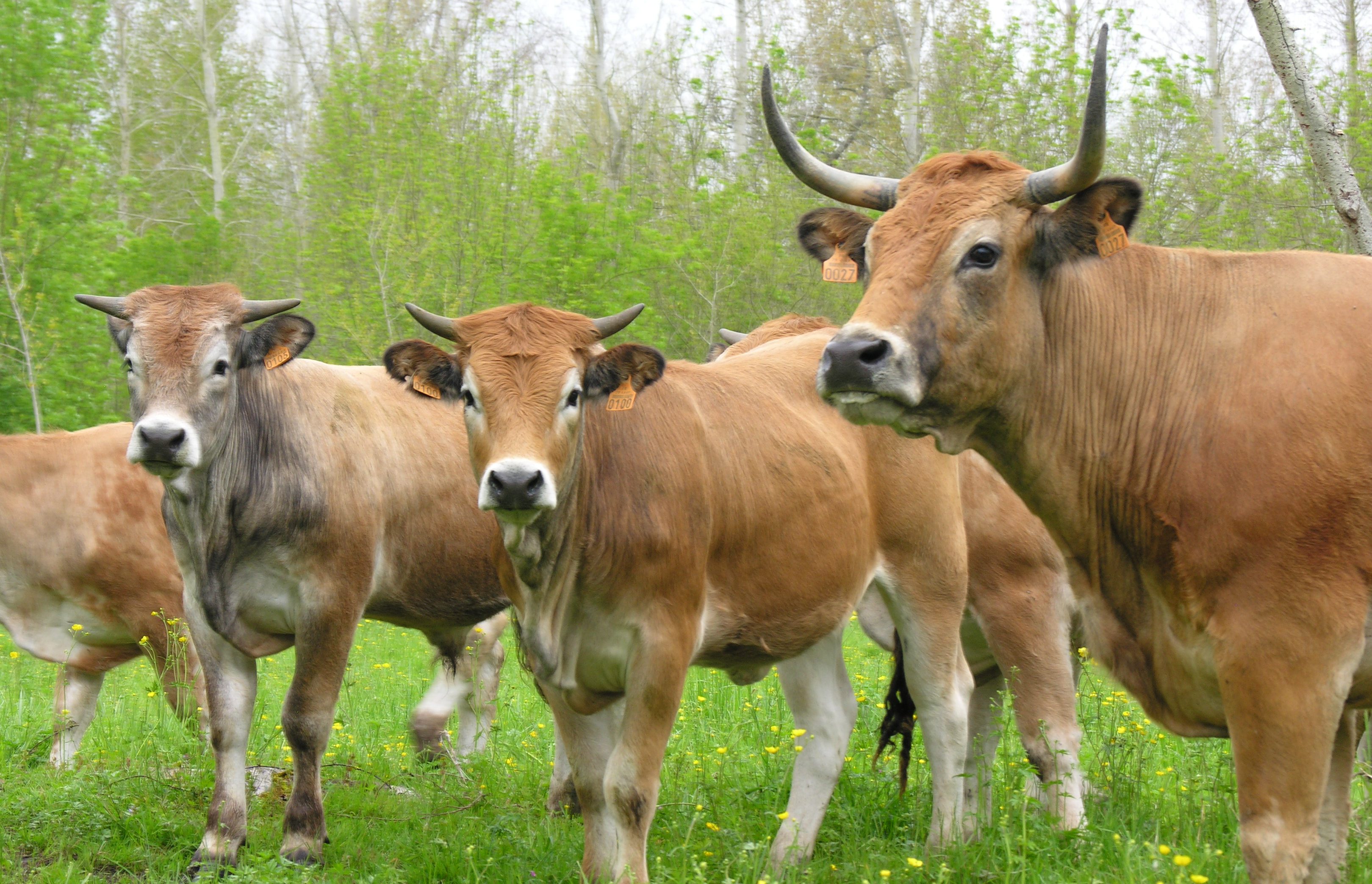 Photo Gilles PETIT 3943