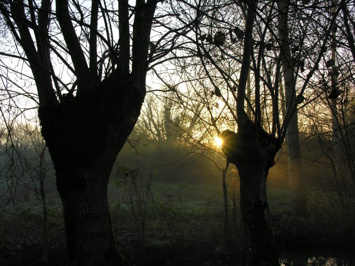 photo-gilles-petit-3218